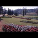 Burma Gardens 26