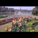 Burma Gardens 27