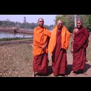 Burma Gardens 5