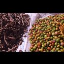 Burma Kalaw Market 5