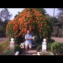 Burma Pyin Candacraig 8