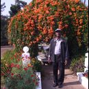 Burma Pyin Candacraig 9