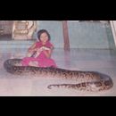 Myanmar Snake Pagoda
