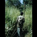 Terai jungle trek