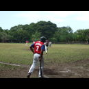 Nic Baseball