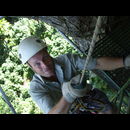 Nic Tree Swinging