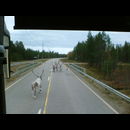 Lapland