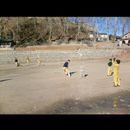 Chitral children 11