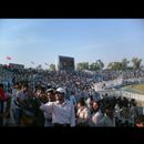 Faisalabad cricket 13