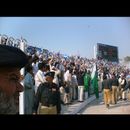 Faisalabad cricket 15