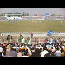 Faisalabad cricket 16