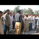 Faisalabad cricket 3