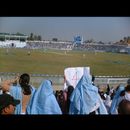 Faisalabad cricket 30