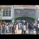 Faisalabad cricket 4