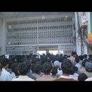 Faisalabad cricket 5