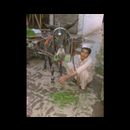 Peshawar butchers 8