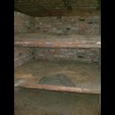 Birkenau 11