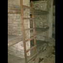 Birkenau 12