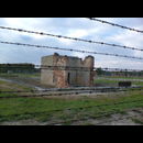 Birkenau