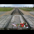 Birkenau 5