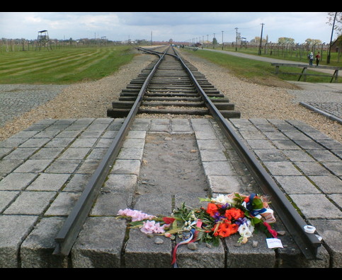 Birkenau 5