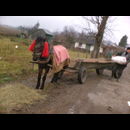 Romanian Countryside