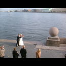 St P Weddings 3