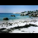 Cape Town & Cape Point