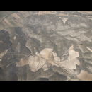 Spain 8