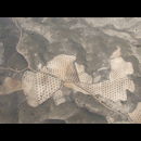 Spain 9