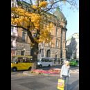 Lovely Lviv