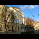 Lviv Transport 8