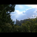 Swallows Nest 8